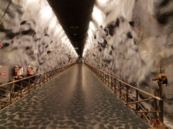 1 Dramatic arrival at Santa Park Santa's got a brand new Sleigh