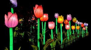 17 Tulips Luminosa Jungle Island Luminosa Festival of Lights coming to Jungle Island