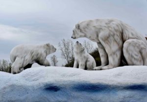 1720Polar20Splash Bear20Family Marineland of Canada season launches new family-friendly features