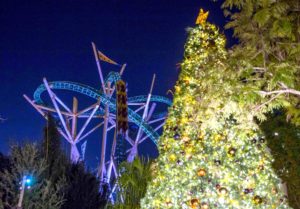 19 Christmas Town Cheetah Hunt Busch Gardens Tampa Bay’s Christmas Town opens