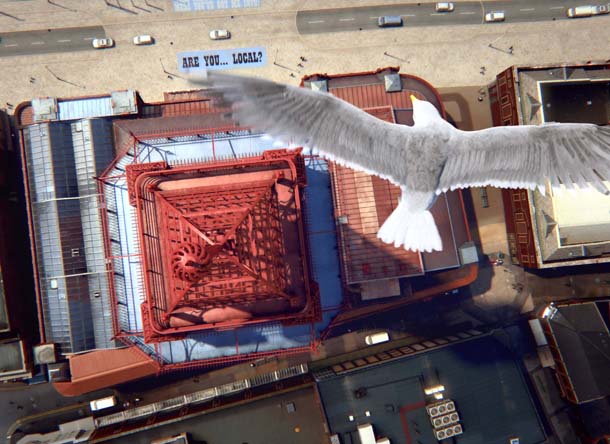 BPLT_Seagull_over_tower