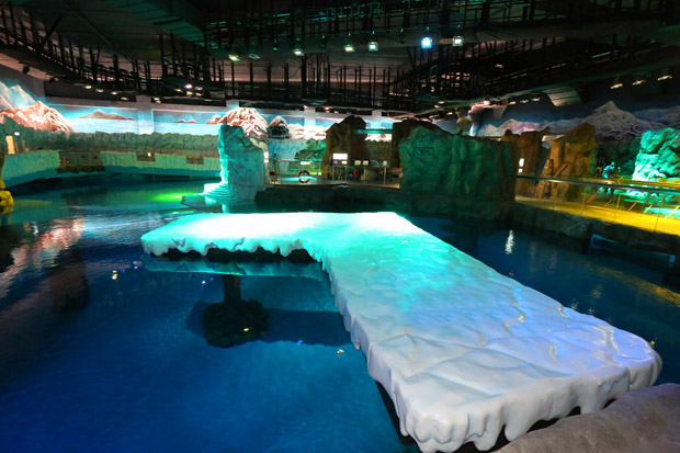 OPPA_North_Pole_Encounter_2