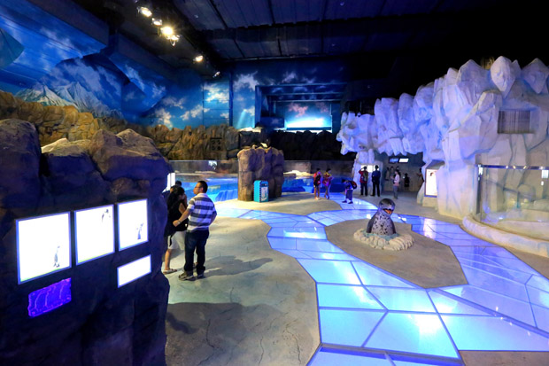 OPPA_South_Pole_Spectacular_1