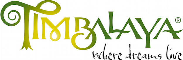 The low-tech yet highly immersive new kids’ IP