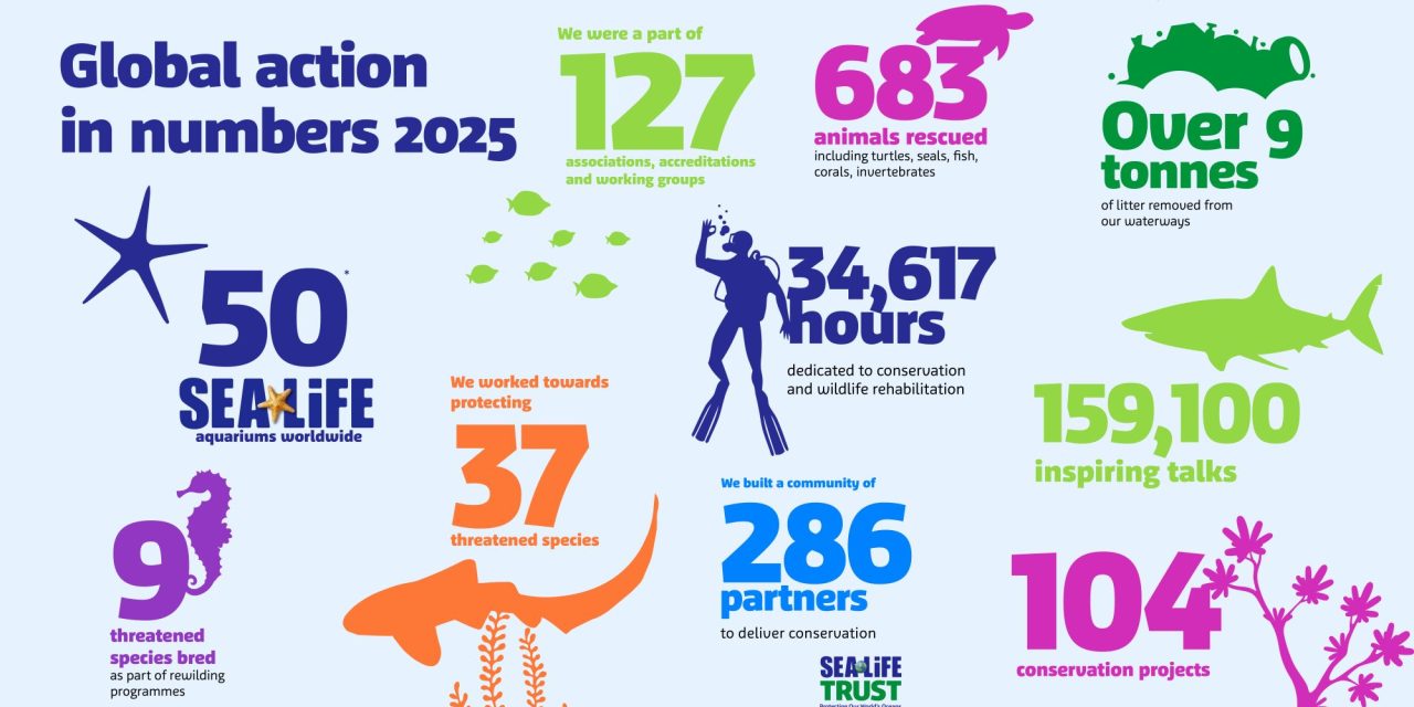 Merlin Marks World Oceans Day With SEA LIFE Global Conservation Report