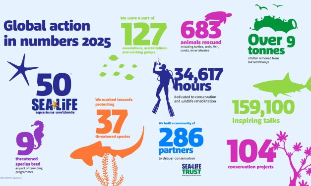 Merlin Marks World Oceans Day With SEA LIFE Global Conservation Report