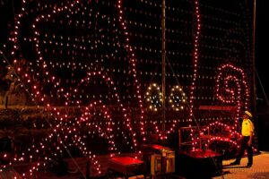 24 Electrical Water Pageant 2 Electrical Water Pageant Returning soon to Walt Disney World Resort