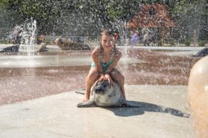 24 Polar Splash 3 Marineland opens Polar Splash