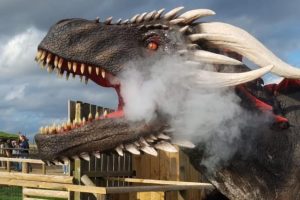 311991100 496045032540715 2186627808796730803 n Day of the Dragon!