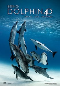 36 Dolphins 2 Dream, Dive and Discover  with Being Dolphin 4D