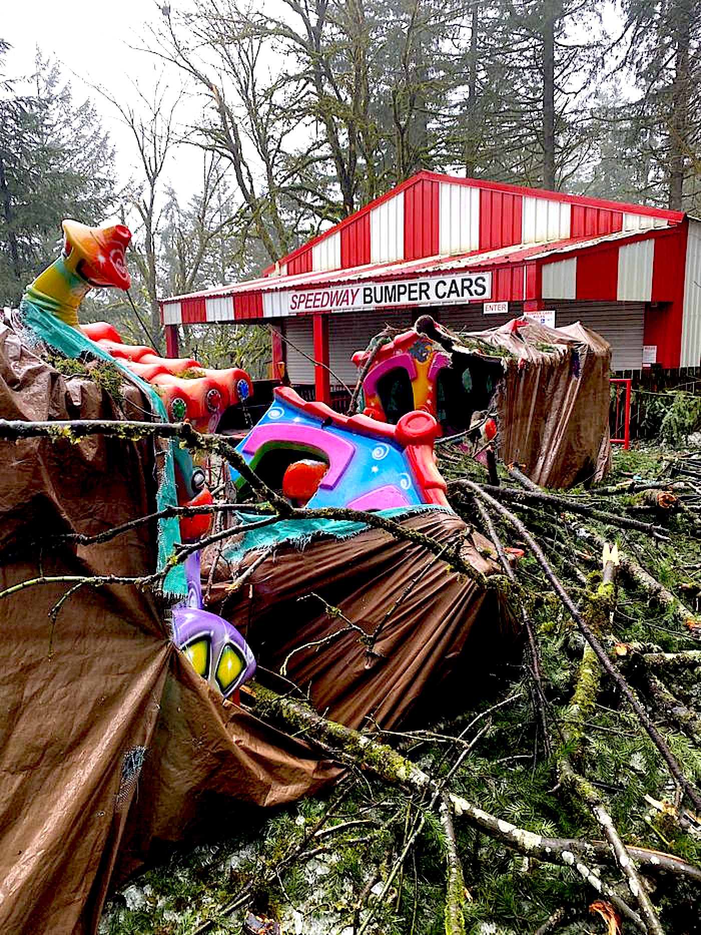 Ice Storm damages Enchanted Forest