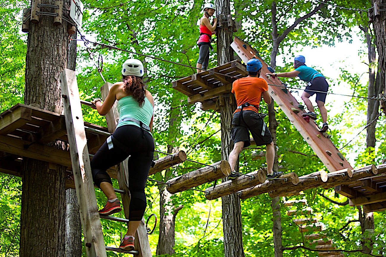 Jungle Island to open Aerial Game Trek