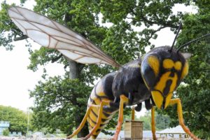 7 Dragonfly Megabugs invade Wild Adventures