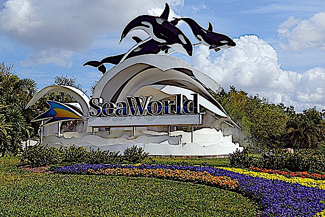 SeaWorld, Aquatica, and Discovery Cove Parks in Orlando Set to Reopen June 11