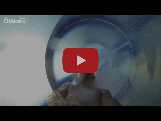 Installation of New Zealand’s biggest water slides underway