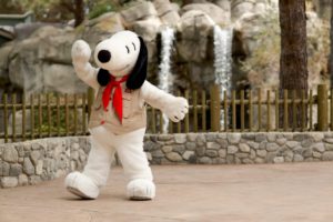 Camp Snoopy Opens at Carowinds 5 Camp Snoopy opens at Carowinds