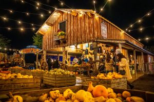 Europe’s Largest Pumpkin Festival Returns this September with 1.5 Million Pumpkins and Spectacular New Pumpkin Valley