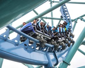 Electric Eel 4 Cranking up the voltage: SeaWorld's Electric Eel