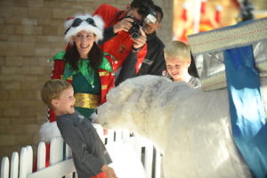 Ferrari World Abu Dhabis Magical Winterfest Returns This Season 4 Ferrari World Abu Dhabi’s magical ‘Winterfest’ returns this season