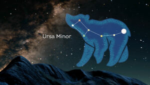 Fly Snowdon by Night Fly Snowdon launches at Adventure Parc Snowdonia