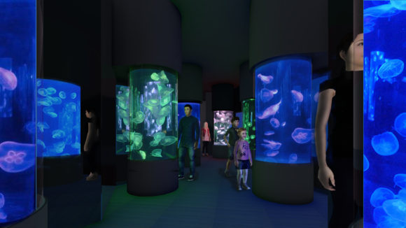 HALL OF MIRRORS PS Sea Jellies Illuminated coming to Sea World