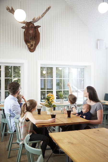 HotelFårupElg copy Hotel Fårup