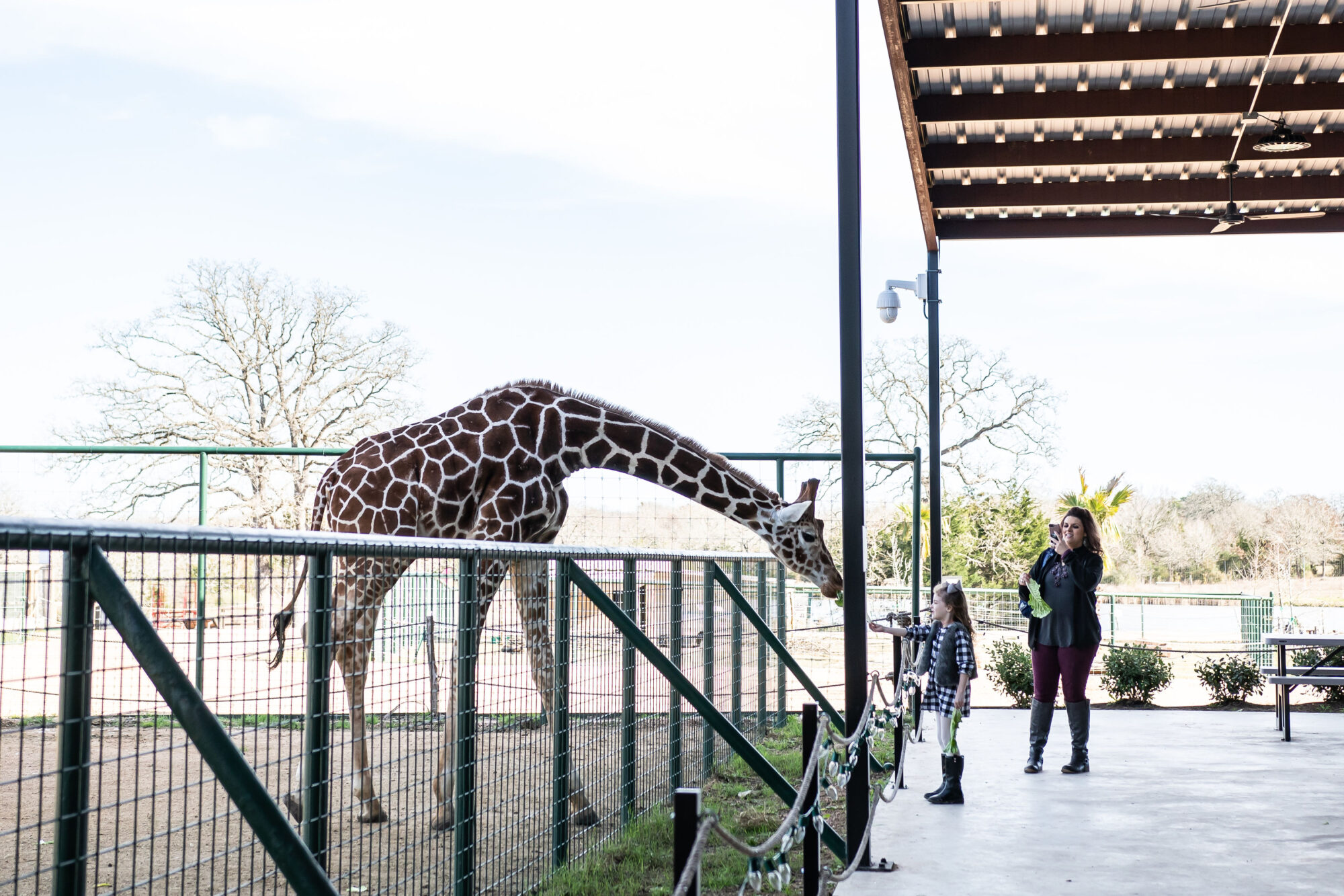 Parks! America Inc. selects accesso ticketing solution