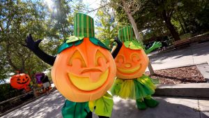 Jack Luma Wild Adventures announces major price cut for 2027 season passes