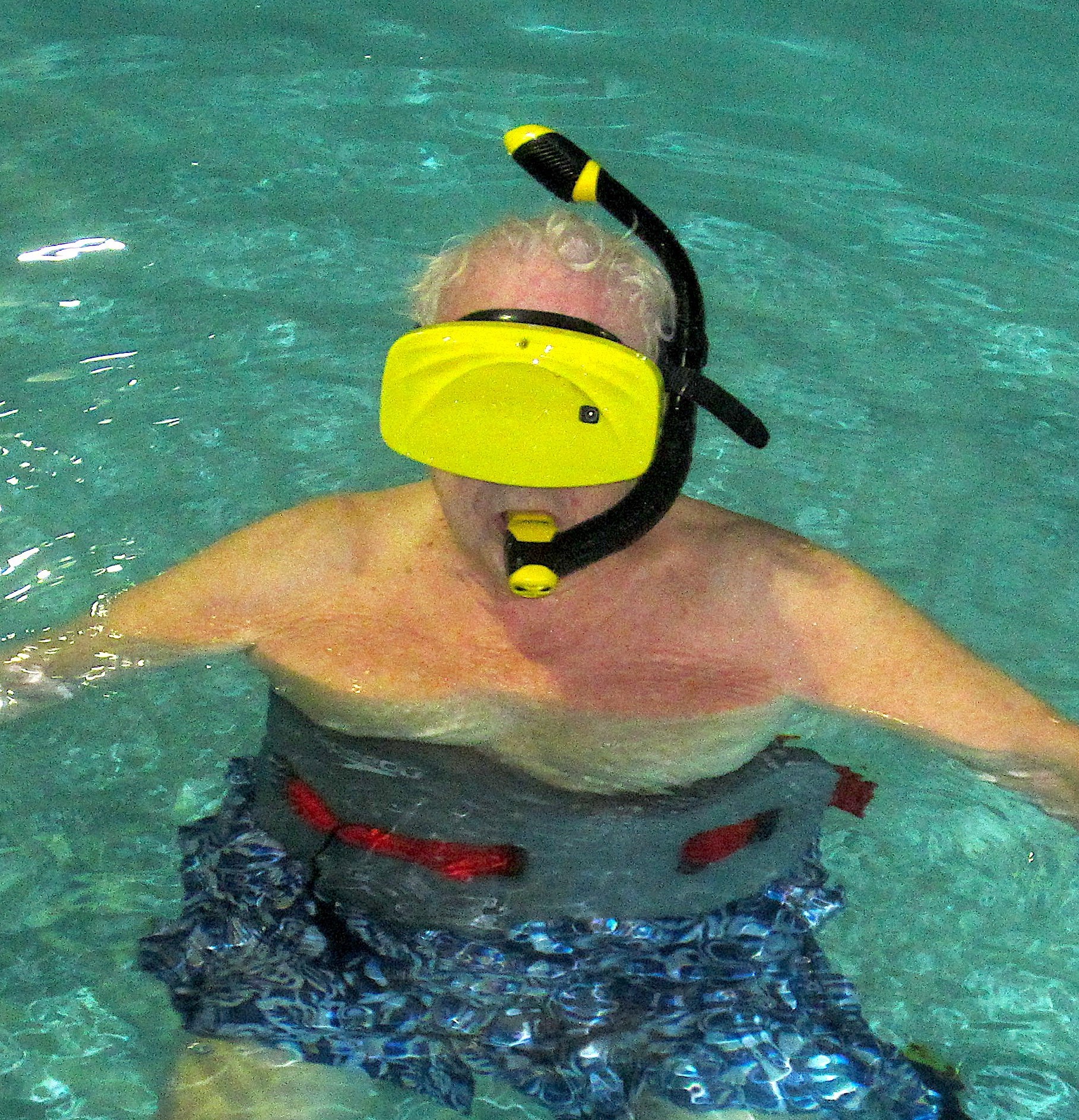 Swimming with Fishes