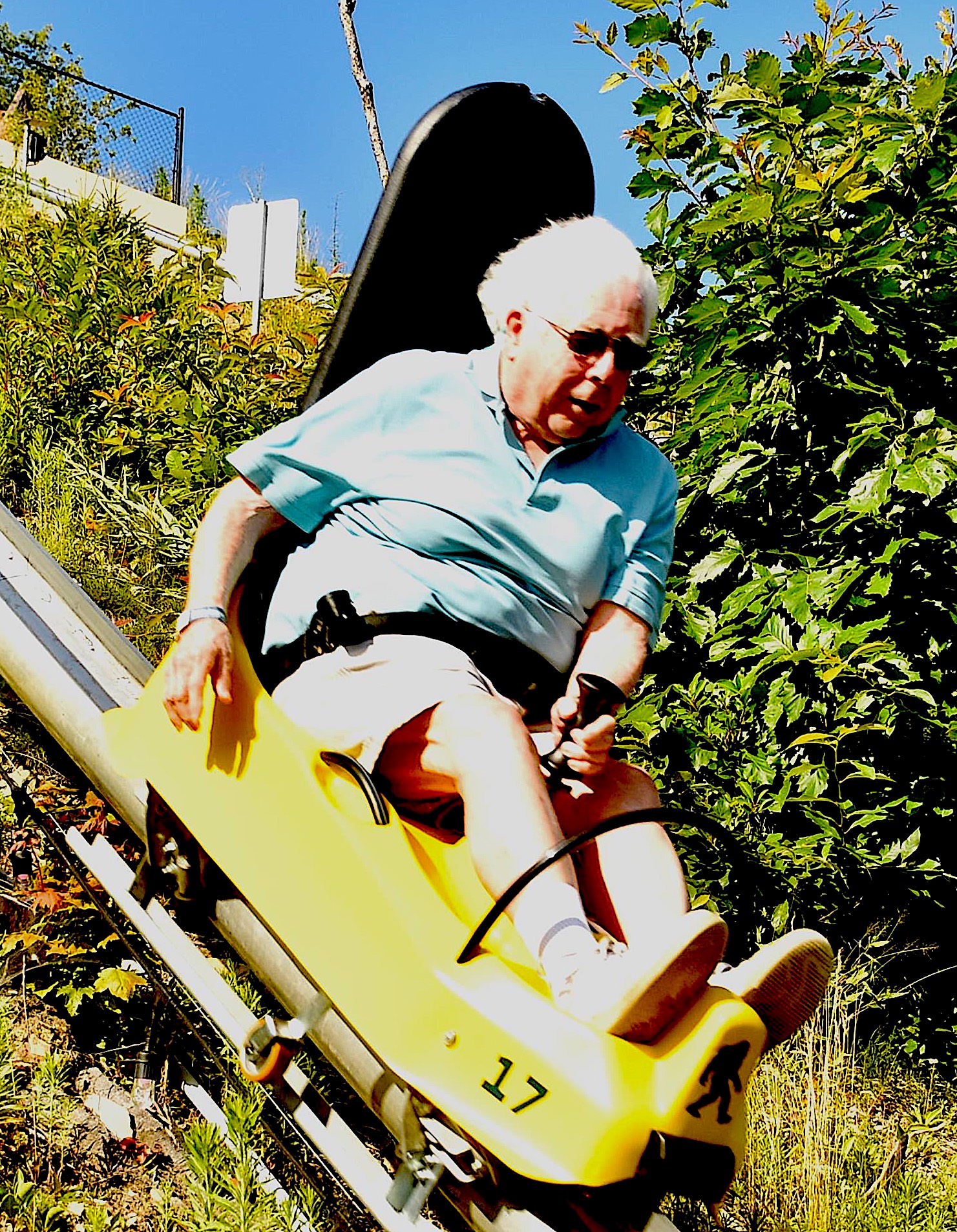 Wild Rides Down the Mountainside