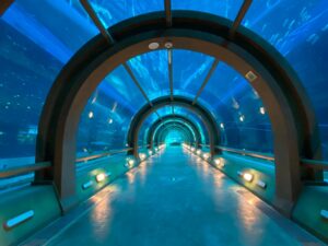 Sea Shell Aquarium Vietnam 2 Polin Aquariums opens Sea Shell Aquarium in Vietnam