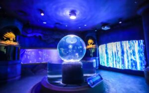 Sea Shell Aquarium Vietnam 5 Polin Aquariums opens Sea Shell Aquarium in Vietnam
