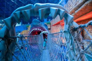 Sea Shell Aquarium Vietnam 8 Polin Aquariums opens Sea Shell Aquarium in Vietnam