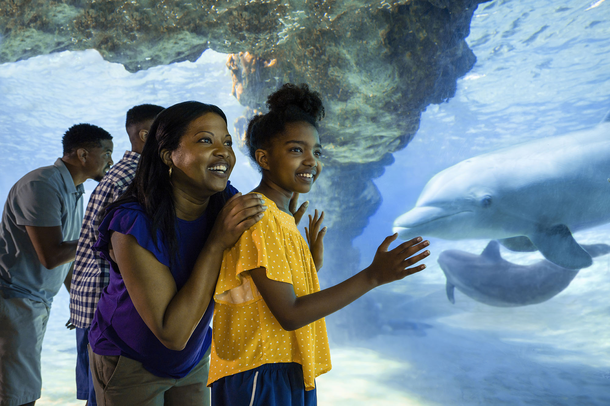 SeaWorld Orlando expands accessibility with new monthly ASL Saturdays