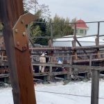 Six Flags Great Adventure reveals return of ‘Wild’ Ride and guest experience upgrades