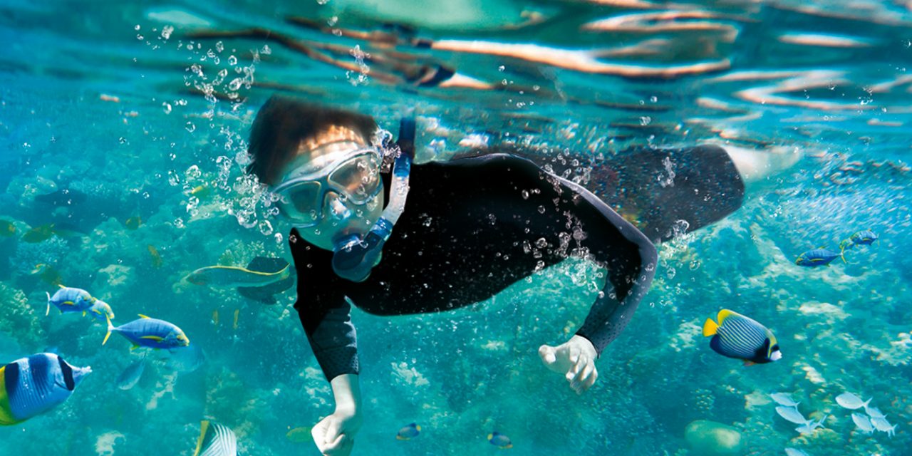 No Flight Required – Snorkel with Tropical Fish in SEA LIFE at Mall of America