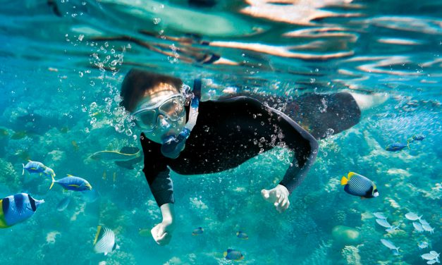 No Flight Required – Snorkel with Tropical Fish in SEA LIFE at Mall of America