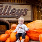 Europe’s largest pumpkin festival opens to record visitor numbers after becoming social media phenomenon