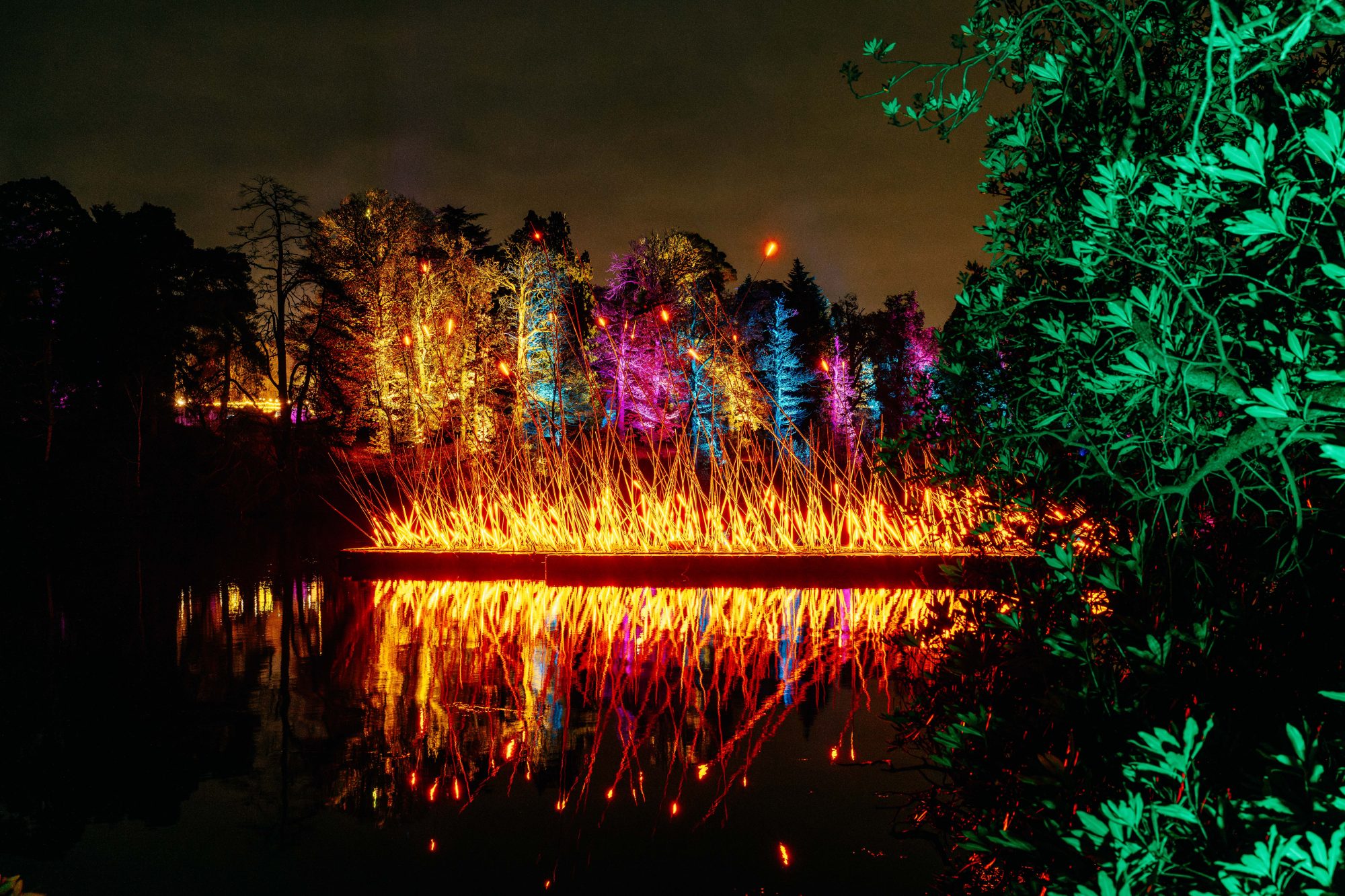Windsor Great Park Illuminated is Back!