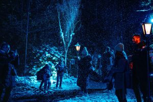 Windsor Great Park Illuminated 2024 14th November 2024 Joshua Atkins 218 Windsor Great Park Illuminated is Back!