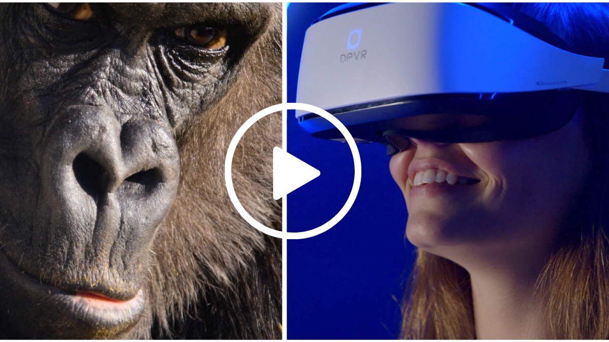 Immotion to premier live action, VR wildlife title at IAAPA
