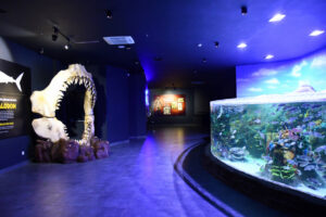 polin aquarium tunnel 2 Polin Aquariums unveils latest project