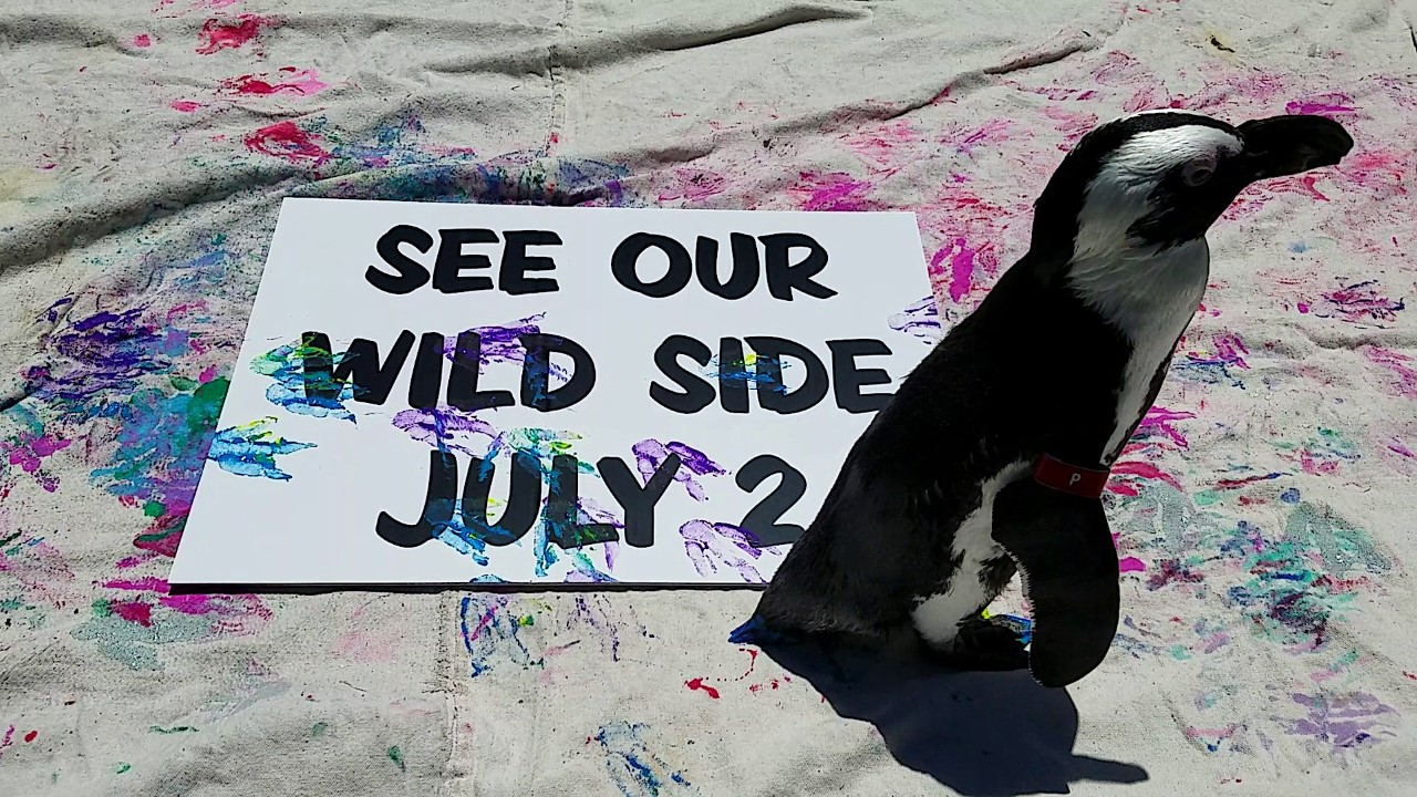 Six Flags Discovery Kingdom returns as “The Marine World Experience”