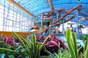 web Epic Nature View Epic Waters opens